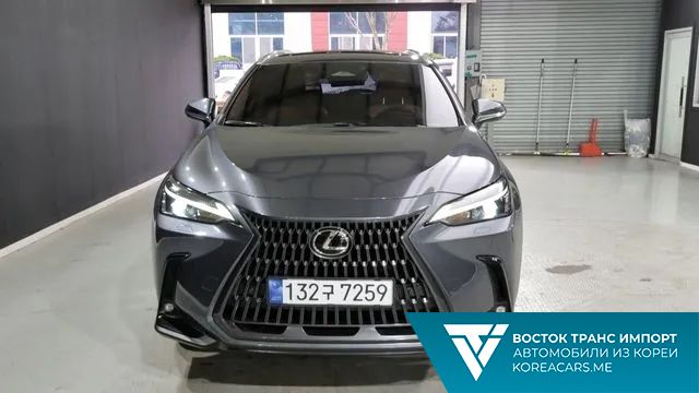 Lexus NX 2023